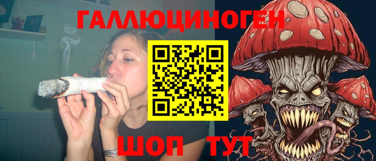Полевской  Псилоцибиновые грибы Psilocybine cubensis  Вход с VPN 